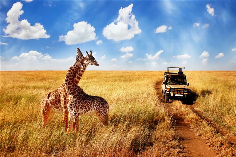 Auf Safari in Tansania ©Delbars/adobestock